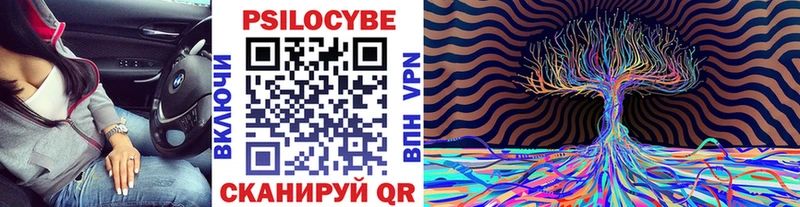 наркошоп  Рыбное  Псилоцибиновые грибы Cubensis 